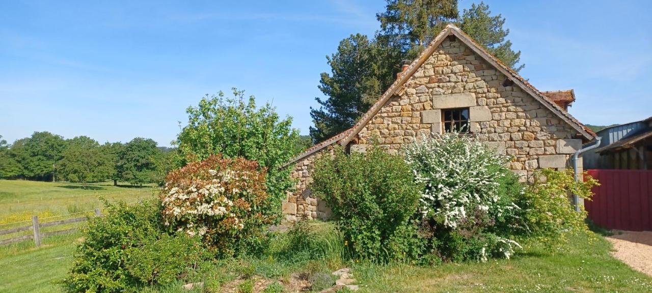 Buxières-les-Mines Domaine De Reniere 빌라 외부 사진